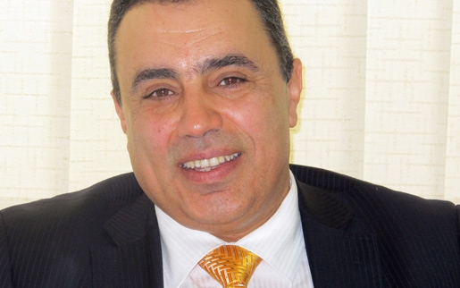 Mehdi Jomaa, ministre de l'Industrie