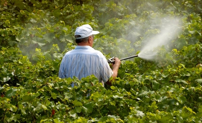 Pour une revolution dans l’agriculture : se passer des pesticides, proteger notre sante et notre environnement Pour une revolution dans l’agriculture : se passer des pesticides, proteger notre sante et notre environnement