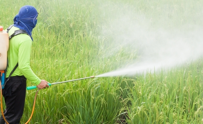 Pour  une révolution dans l’agriculture (2): vers un traite mondial sur les pesticides