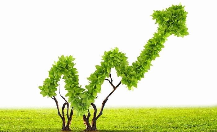 L’économie verte : une réponse possible aux enjeux de la Tunisie L’économie verte : une réponse possible aux enjeux de la Tunisie