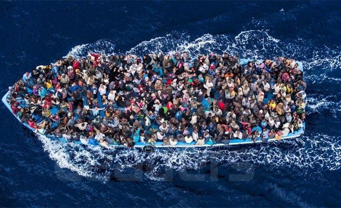 migrants migrants