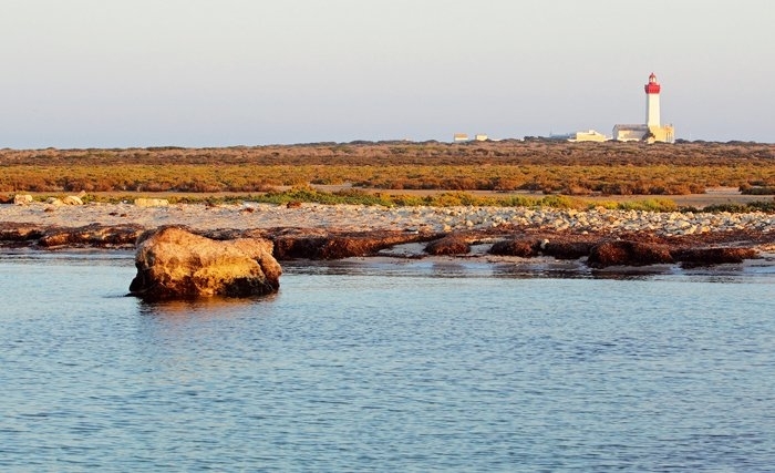 Les îles Kuriat, îles des tortues