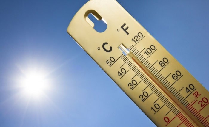 canicule canicule