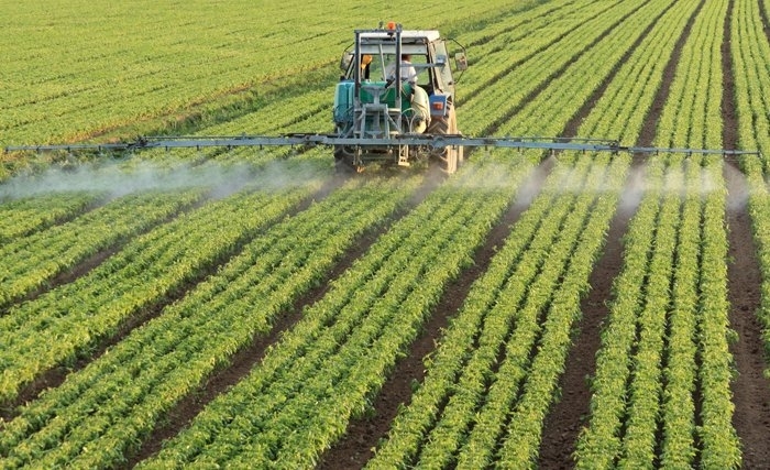 De querelles intestines en querelles économiques et sociales, le monde agricole se meurt en silence De querelles intestines en querelles économiques et sociales, le monde agricole se meurt en silence