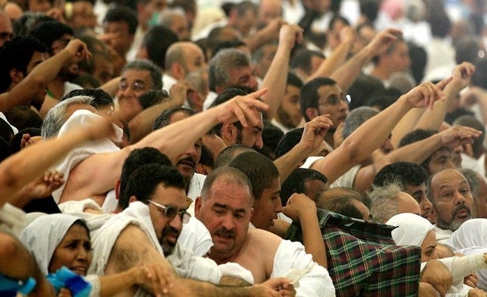 Des insuffisants rénaux et des personnes atteintes de la maladie d'Alzheimer parmi les pélerins tunisiens Des insuffisants rénaux et des personnes atteintes de la maladie d'Alzheimer parmi les pélerins tunisiens