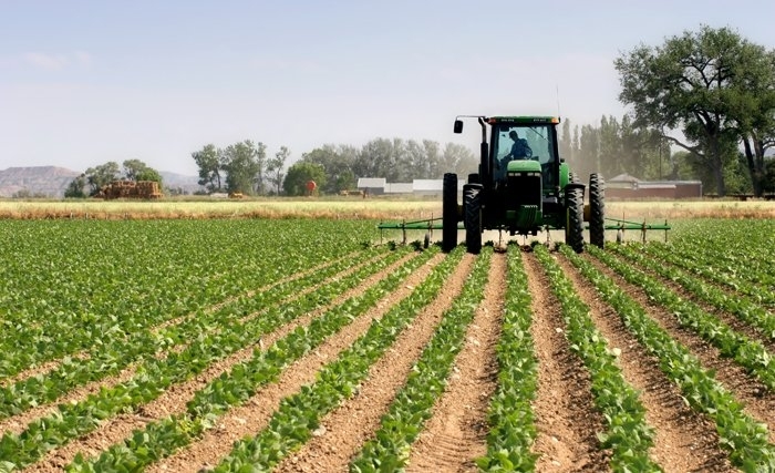De la noblesse du métier d’agriculteur et des métiers de l’agriculture De la noblesse du métier d’agriculteur et des métiers de l’agriculture