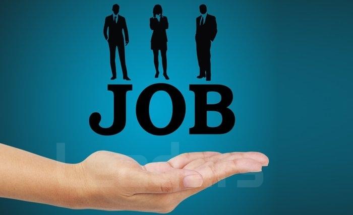 Le droit au service de l’emploi Le droit au service de l’emploi