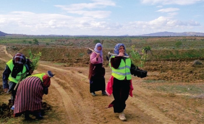 Le chômage féminin, un défi majeur pour le modèle sociétal tunisien Le chômage féminin, un défi majeur pour le modèle sociétal tunisien