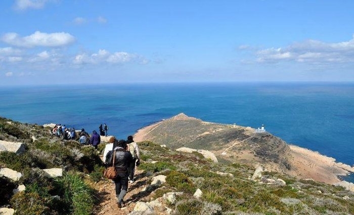 Protection du littoral et gestion des déchets de plages: El Haouaria innove et met en œuvre de nouvelles recettes. Protection du littoral et gestion des déchets de plages: El Haouaria innove et met en œuvre de nouvelles recettes.