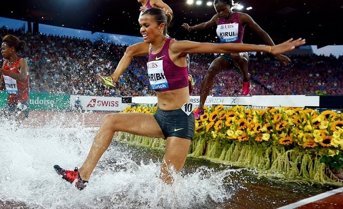 Habiba Ghribi, offre à la Tunisie sa première médaille d'or aux jeux de Rio Habiba Ghribi, offre à la Tunisie sa première médaille d'or aux jeux de Rio