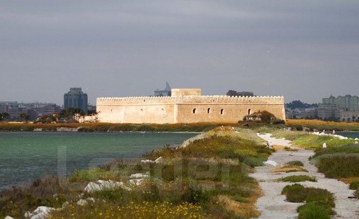 Le concert symphonique de ce samedi à l’île Chikly : un dérangement sans précédent pour l’avifaune aquatique de Tunis Le concert symphonique de ce samedi à l’île Chikly : un dérangement sans précédent pour l’avifaune aquatique de Tunis