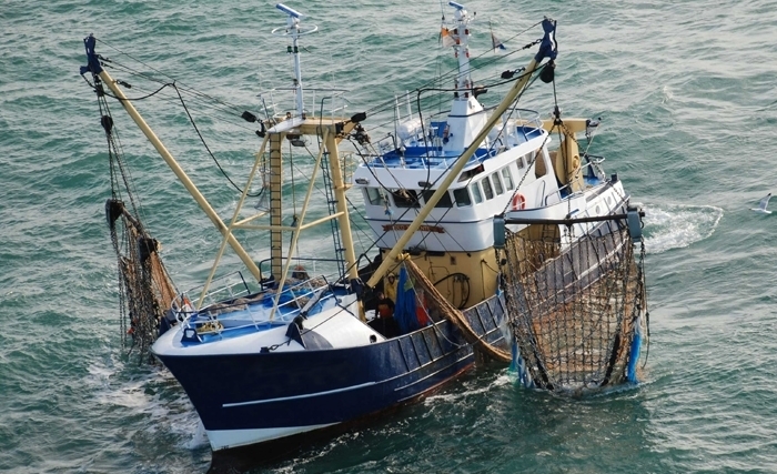 Trois bateaux de pêche tunisiens arraisonnés par les gardes-côtes libyens