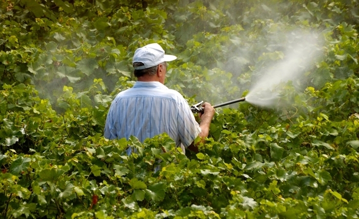 Pour une revolution dans l’agriculture : se passer des pesticides, proteger notre sante et notre environnement