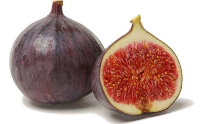 Un camion frigorifique pour les Figues de Djebba Un camion frigorifique pour les Figues de Djebba