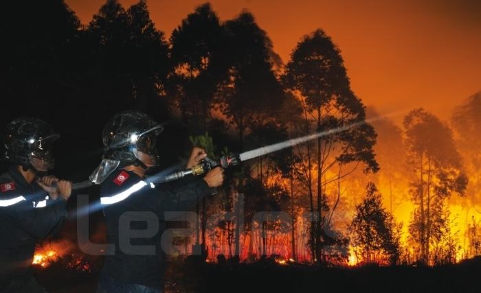 Le poumon vert de la Tunisie à l’épreuve du feu Le poumon vert de la Tunisie à l’épreuve du feu