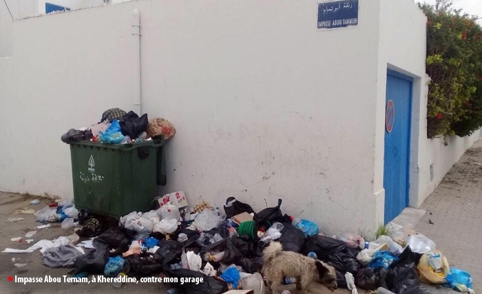 La Goulette croule sous les immondices La Goulette croule sous les immondices