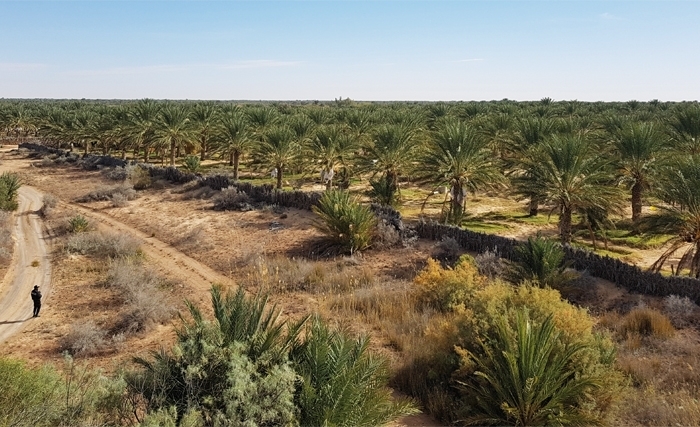 Mahbes, un mégaprojet au cœur du désert Mahbes, un mégaprojet au cœur du désert