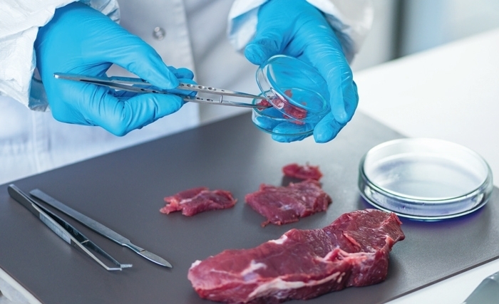 La sécurité sanitaire est une chaîne et chaque maillon est essentiel La sécurité sanitaire est une chaîne et chaque maillon est essentiel