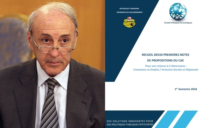 Un recueil de dix Notes de Propositions du Conseil des Analyses Economiques pour la relance Un recueil de dix Notes de Propositions du Conseil des Analyses Economiques pour la relance