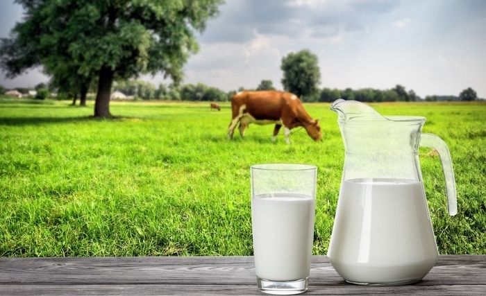 Le lait disponible en quantités suffisantes sur le marché dans deux jours Le lait disponible en quantités suffisantes sur le marché dans deux jours