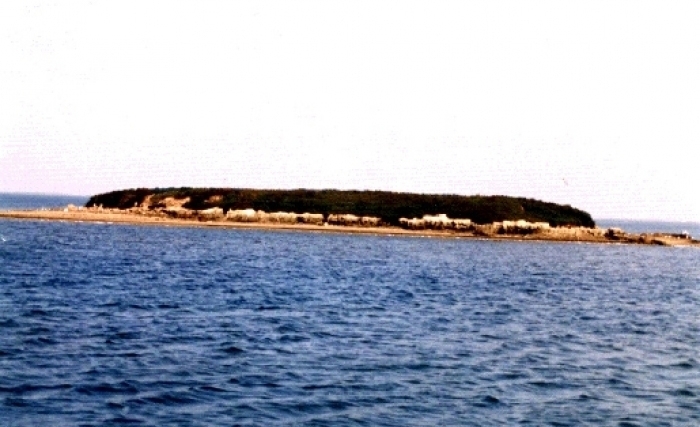 Les îles Kneïes, paradis des oiseaux hivernants