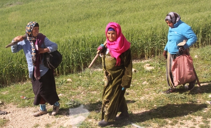 Femmes rurales: effet d’annonce ou début de reconnaissance ? Femmes rurales: effet d’annonce ou début de reconnaissance ?
