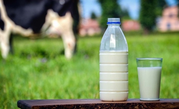 Face à l’importation de lait étranger, Comment sauver le secteur laitier ?