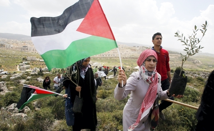 Mohamed Larbi Bouguerra: De la vipère à l’olivier, les sionistes font tout pour judaïser la Palestine