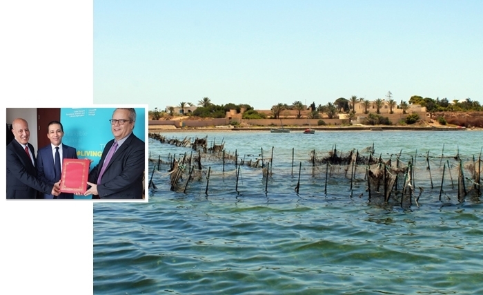 Après Sejnane, la Charfiya de Kerkennah sera-t-elle inscrite sur la liste du patrimoine immatériel de l'UNESCO Après Sejnane, la Charfiya de Kerkennah sera-t-elle inscrite sur la liste du patrimoine immatériel de l'UNESCO