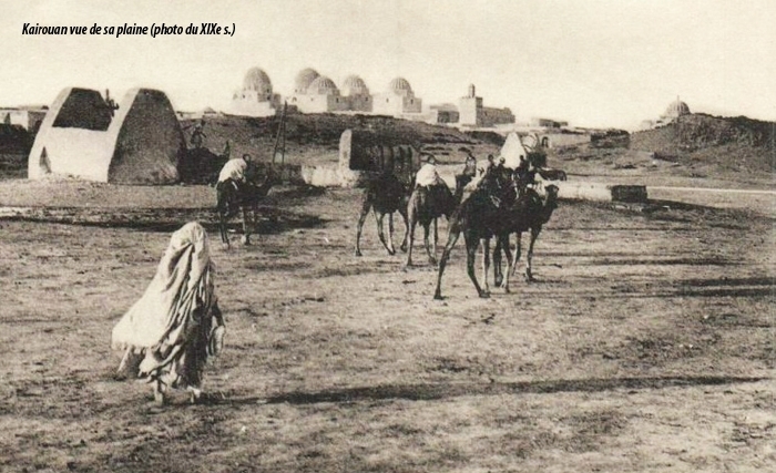 Soufisme et résistance: L’épopée des Chebbiya Soufisme et résistance: L’épopée des Chebbiya