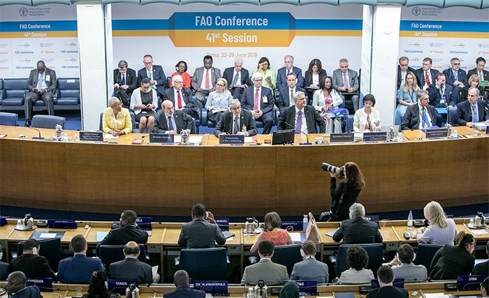 La Tunisie se fera-t-elle élire au Conseil de la FAO La Tunisie se fera-t-elle élire au Conseil de la FAO