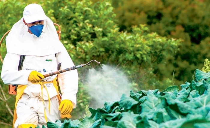 Un insecticide a bannir d’urgence… pour protéger le quotient intellectuel de nos enfants et l’équilibre de notre balance commerciale