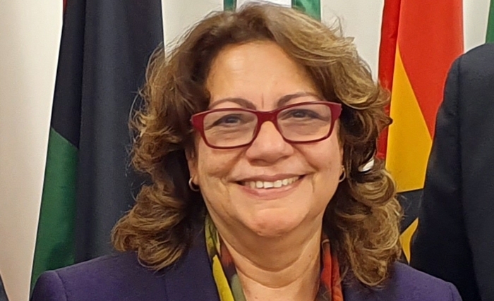 Monia Saadaoui: Areas of Expertise