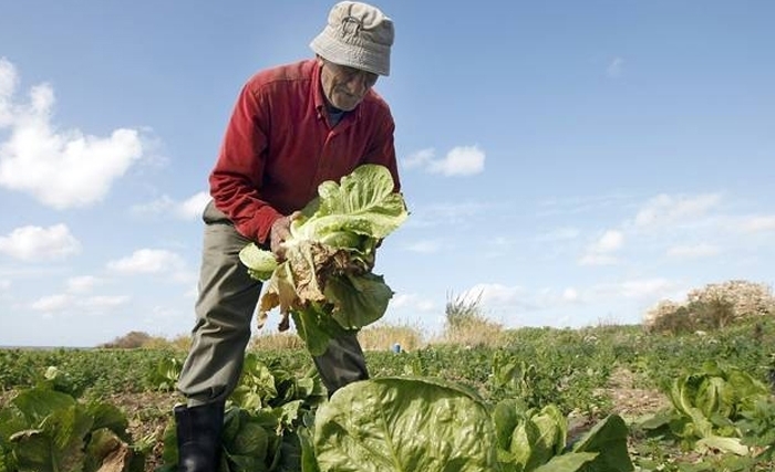 Malek Ben Salah: Agriculteurs, Agronomes…, mes amis ! La main dans la main, sachons qui élire ! Malek Ben Salah: Agriculteurs, Agronomes…, mes amis ! La main dans la main, sachons qui élire !