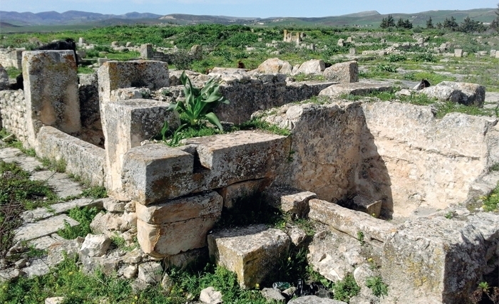 Ammar Mahjoubi - Henchir el-Faouar: La cité antique des Belalitani Maiores