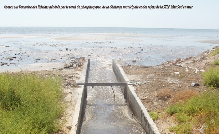 Abdeljalil Gdoura: Le littoral sud de Sfax…Une richesse à valoriser Abdeljalil Gdoura: Le littoral sud de Sfax…Une richesse à valoriser