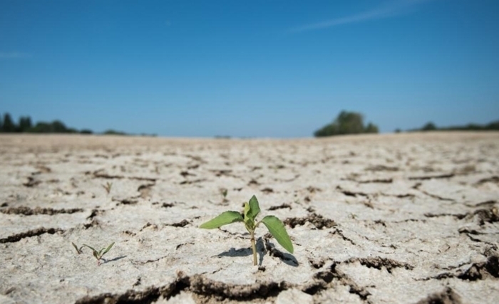 Ridha Bergaoui: la sécheresse, ce danger qui nous guette
