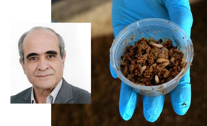 Tunisie - Un métier d’avenir : éleveur d’insectes Tunisie - Un métier d’avenir : éleveur d’insectes