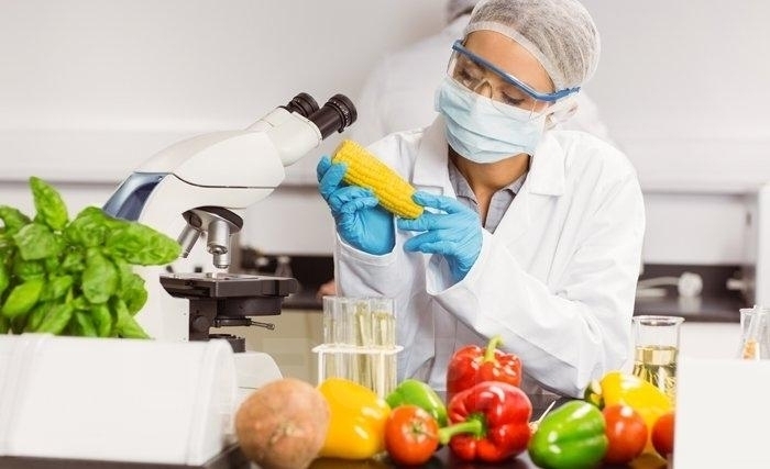 Comment assurer notre sécurité alimentaire Comment assurer notre sécurité alimentaire