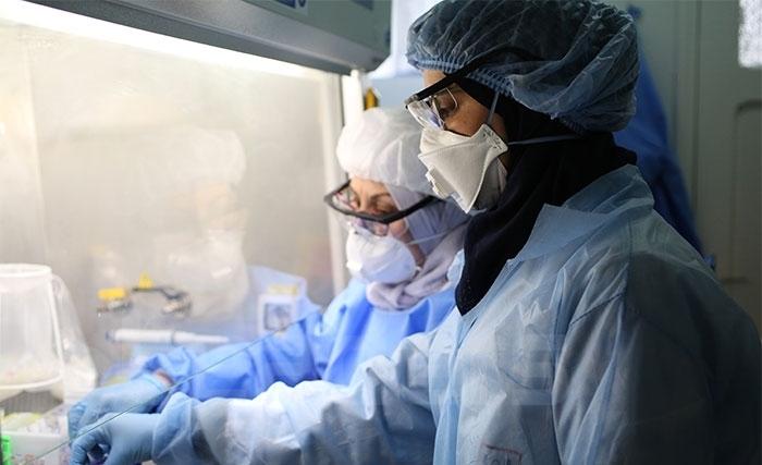 L’impact économique du Coronavirus, sur la Tunisi, selon le Forum Ibn Khaldoun pour le développement L’impact économique du Coronavirus, sur la Tunisi, selon le Forum Ibn Khaldoun pour le développement