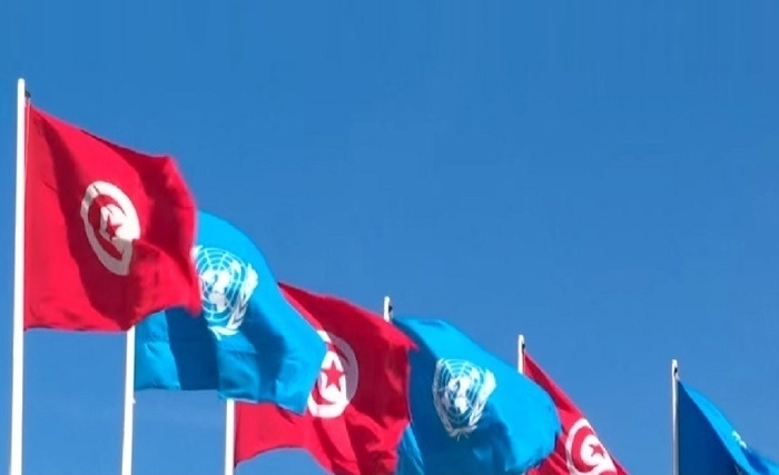 Pourquoi la résolution 2532 du Conseil de Sécurité « initiée par la Tunisie » a contribué à un début d’une paix au Yémen pas en Libye et en Syrie?