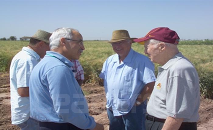 L’agriculture tunisienne : ne fallait-il pas raisonner autrement !