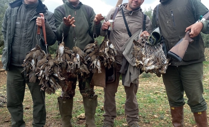 Tunisie : 15000 chasseurs à l'assaut d'un gibier qui se raréfie Tunisie : 15000 chasseurs à l'assaut d'un gibier qui se raréfie