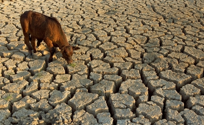 Ridha Bergaoui: La sécheresse, un mal de trop