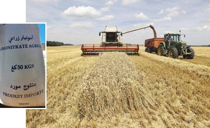 Crise de l’ammonitrate et fertilisation azotée des céréales Crise de l’ammonitrate et fertilisation azotée des céréales