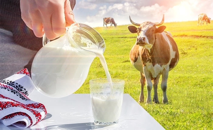 Tunisie: Au moins cinq bonnes raisons en faveur de la libération du prix du lait