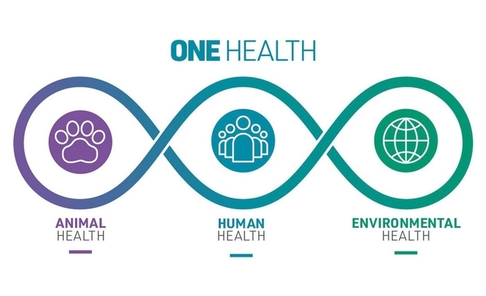 Gestion des pandémies et création du Haut Conseil Scientifique One Health Gestion des pandémies et création du Haut Conseil Scientifique One Health
