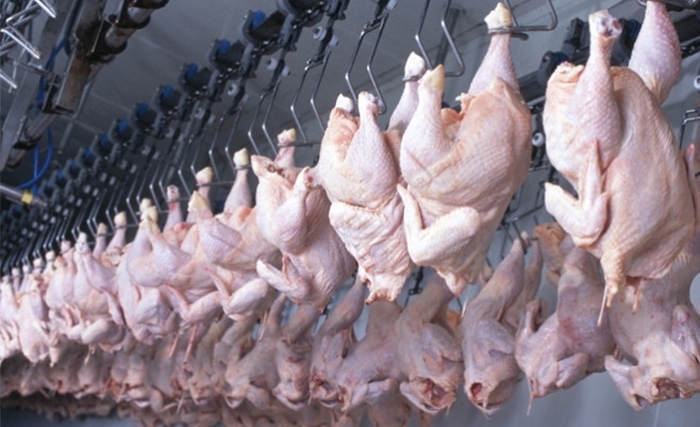 A quand l’application de l’interdiction de l’abattage anarchique des poulets?