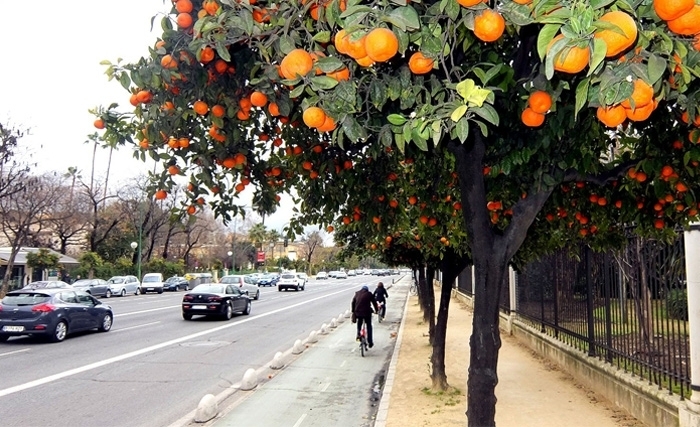 A Séville, les oranges produisent de l’électricité et de l’eau potable