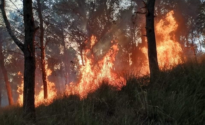Changement climatique : Le rapport du Giec oscille entre un temps apocalyptique et l’espoir offert aux humains de changer leur destin Changement climatique : Le rapport du Giec oscille entre un temps apocalyptique et l’espoir offert aux humains de changer leur destin
